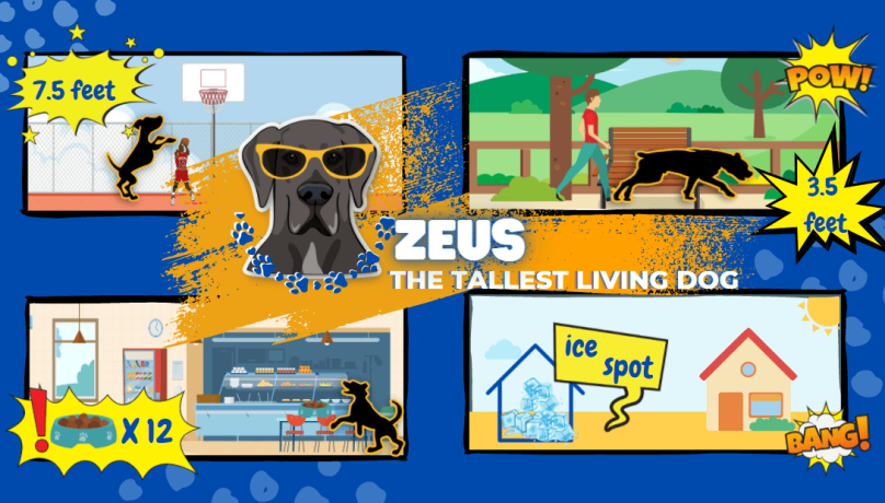 Zeus The Tallest Dog Scimagine